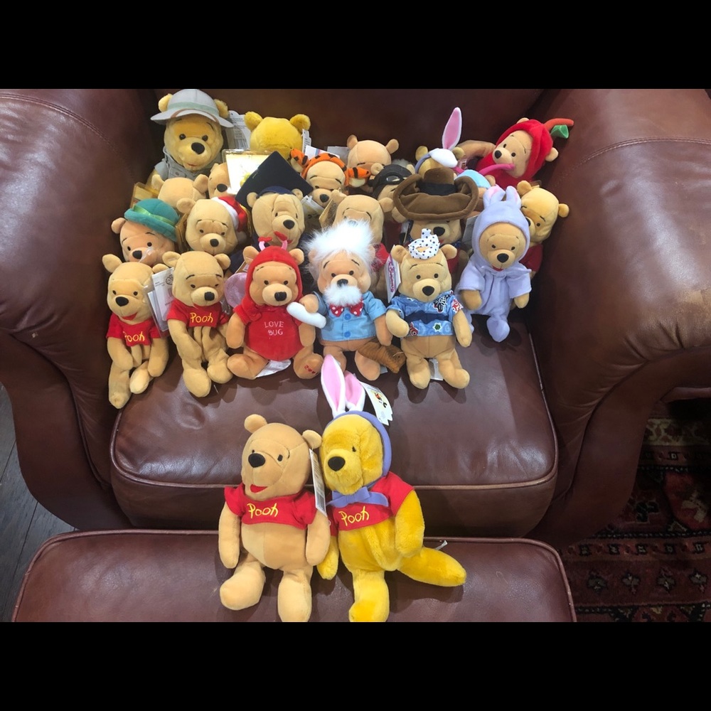 Winnie The Pooh Beanie Lot